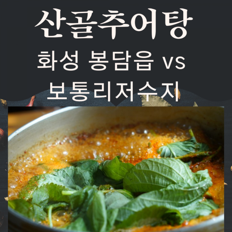  맵지리한테는 매운 산골추어탕