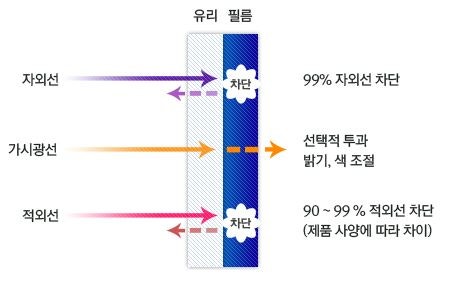 고양 덕양구 / 썬팅 / 지프 / 레니게이드
