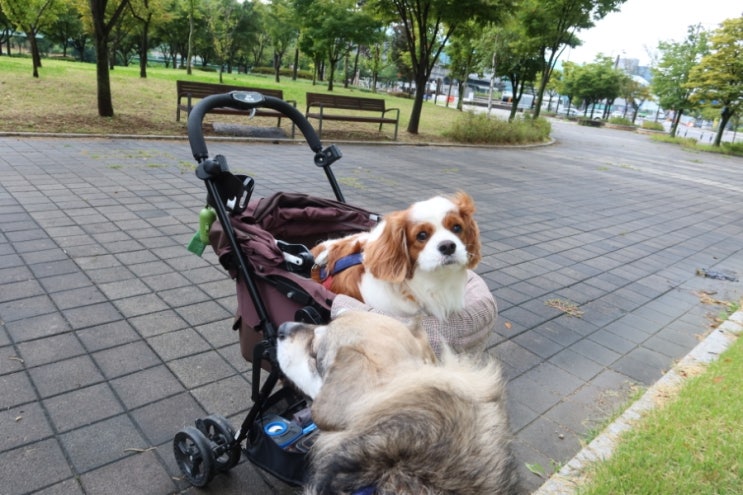  추석 연휴 즐기기 늦잠은 없어요