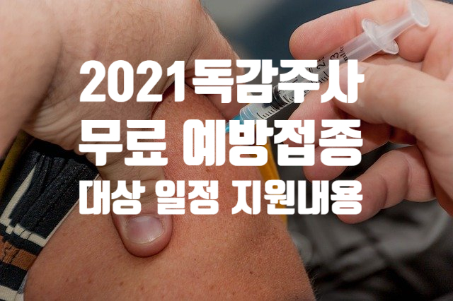 2021 독감 인플루엔자 무료 예방접종 대상 일정 (ft.  가격 비교 사이트) 주사 부작용 이상반응