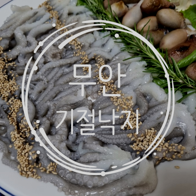  [전남/무안여행] 허영만 백반기행 기절낙지 곰솔가든 솔직후기