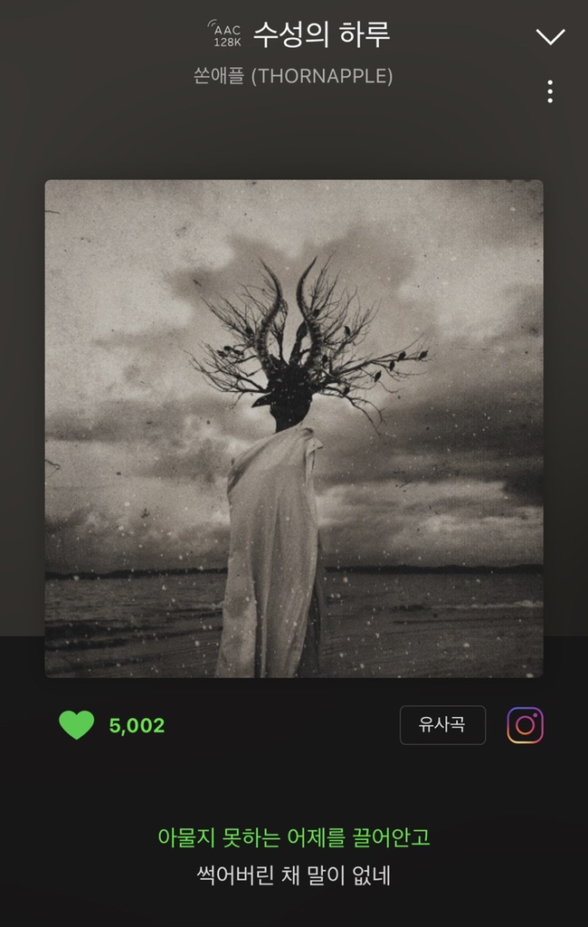 쏜애플(thornapple) - 수성의 하루 쏜애플(thornapple) - 수성의 하루
