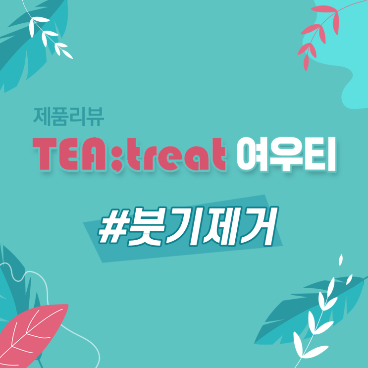  [후기/붓기제거 차] V라인 티트리트 여우티 (올리브영 대박템)