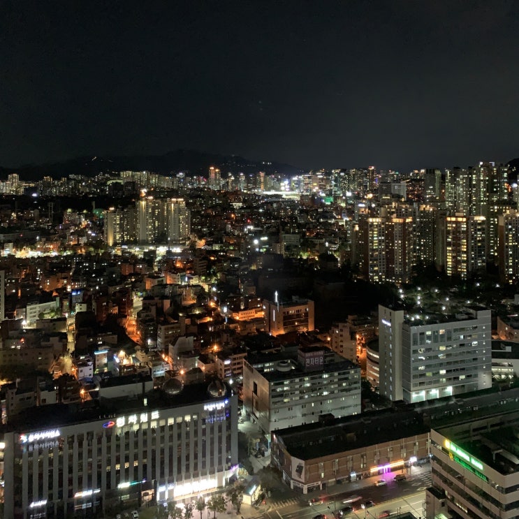  노보텔 스위트 앰버서더 주니어 스위트 시티뷰 현미경 리뷰