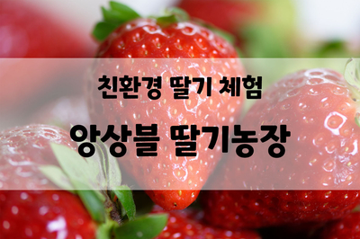 남양주 앙상블 딸기농장, 딸기 체험, 딸기잼 만들기, 아이들 체험 후기