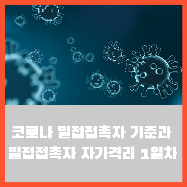  코로나 밀접접촉자로 분류되어 코로나 검사 후 자가격리 1일차 이야기