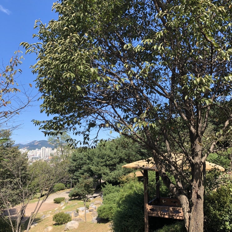  푸른 가을 하늘 중랑둘레길 산책하기 (돌산체육공원) 