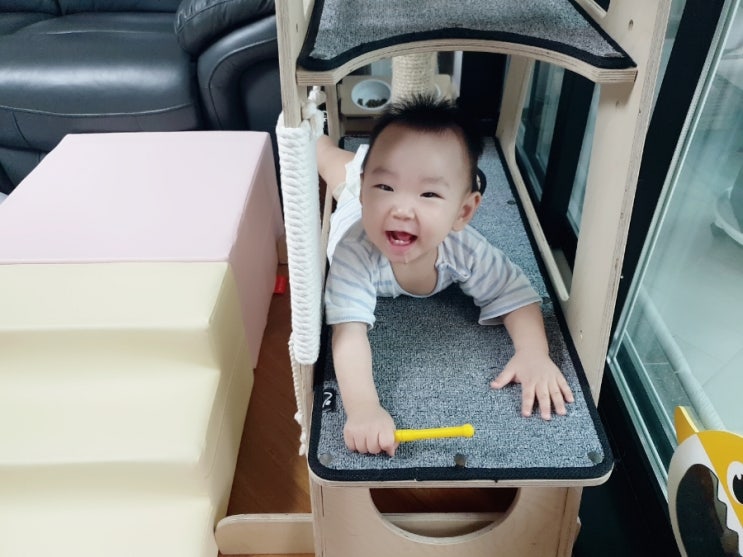  [육아육묘] 아기와 고양이 함께 키우기, 현실조언