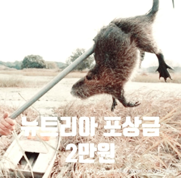  뉴트리아 포상금으로 돈버는방법