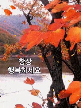  인연이란 이런거래요