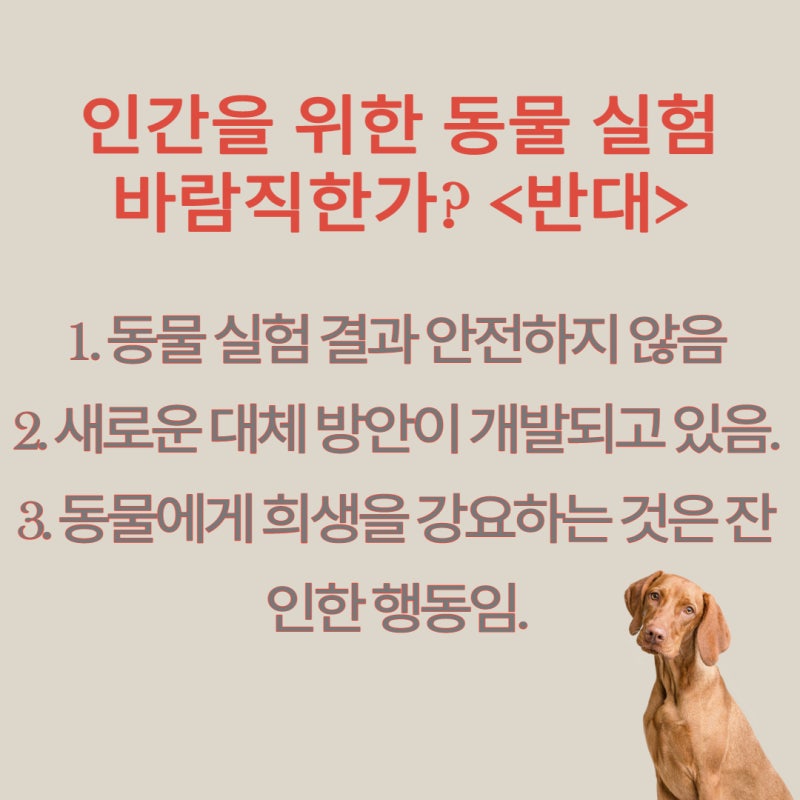 인간을 위한 동물실험 바람직한가? 동물실험 찬반 토론 근거 : 네이버 블로그