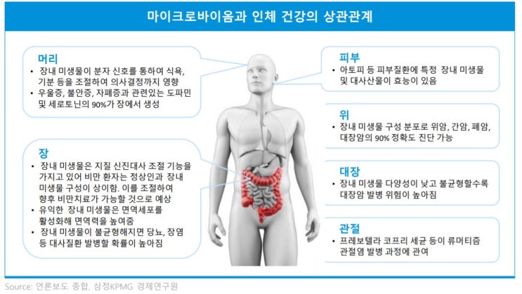  장내 미생물을 활용한 마이크로바이옴 치료제로 자폐증을 치료할 수 있을까?