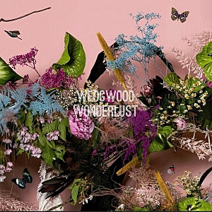 [Wedgwood] 웨지우드 원더러스트 시즌2 | 원더러스트 브런치 세트 | 메나쥬리 핑크로터스 사파이....