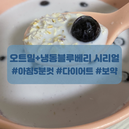  홈플러스 오트밀과 시그니처 냉동 블루베리로 건강하게 다이어트!