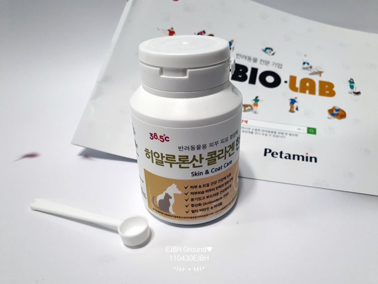  강아지 콜라겐 영양제 히알루론산콜라겐한스푼