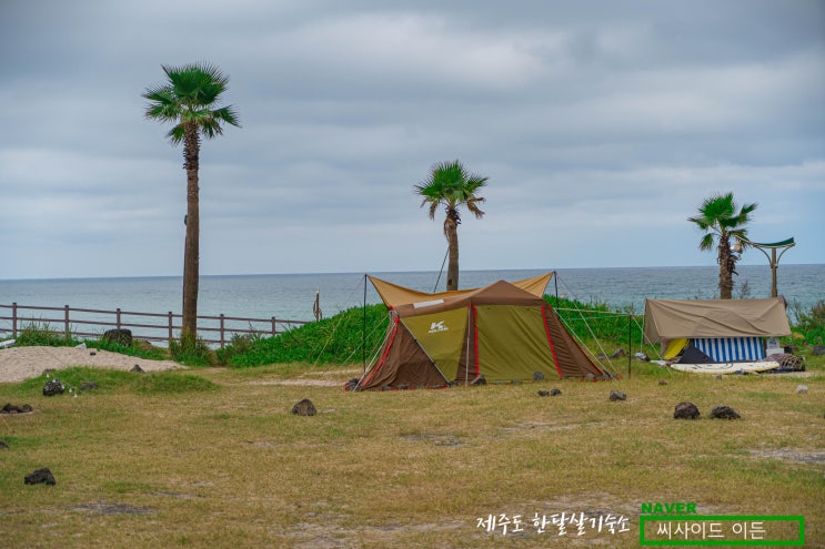  제주도 한달살기 숙소 SE 추천 "함덕해수욕장야영장&서우봉"