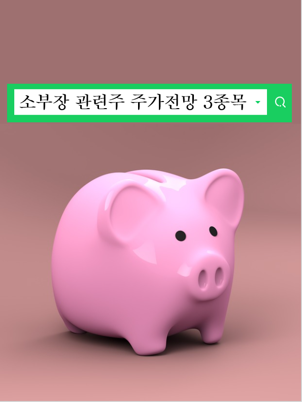  소부장 관련주 주가전망 대주전자재료 씨아이에스 동진쎄미켐