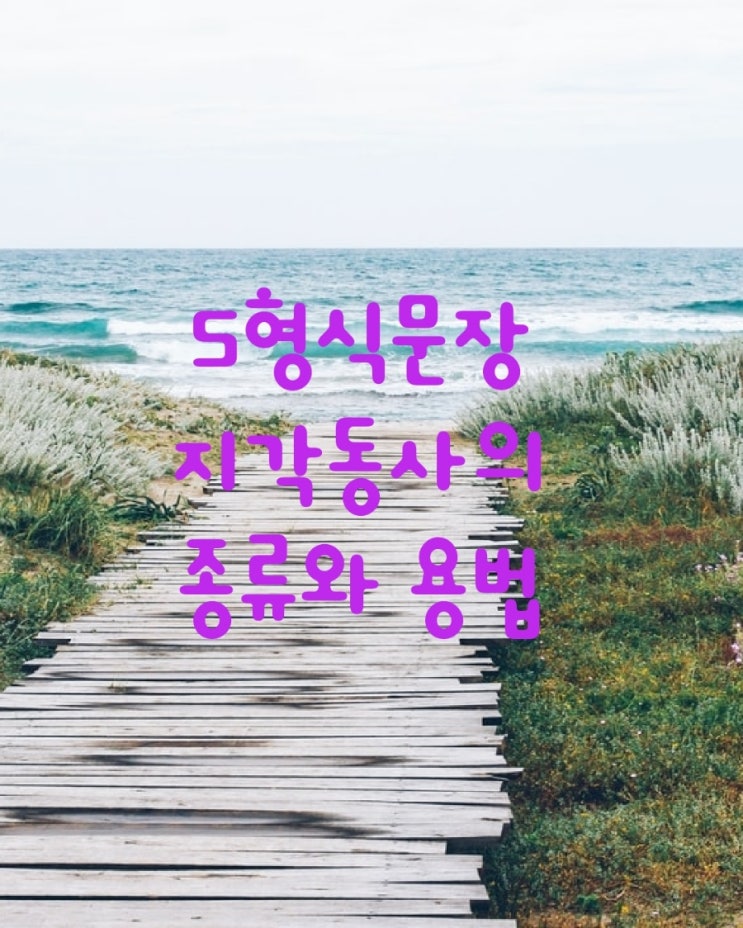  5형식 문장 지각동사의 종류와 용법