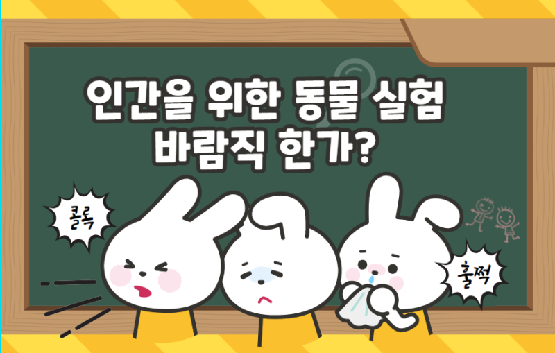 인간을 위한 동물실험 바람직한가? 동물실험 찬반 토론 근거 : 네이버 블로그