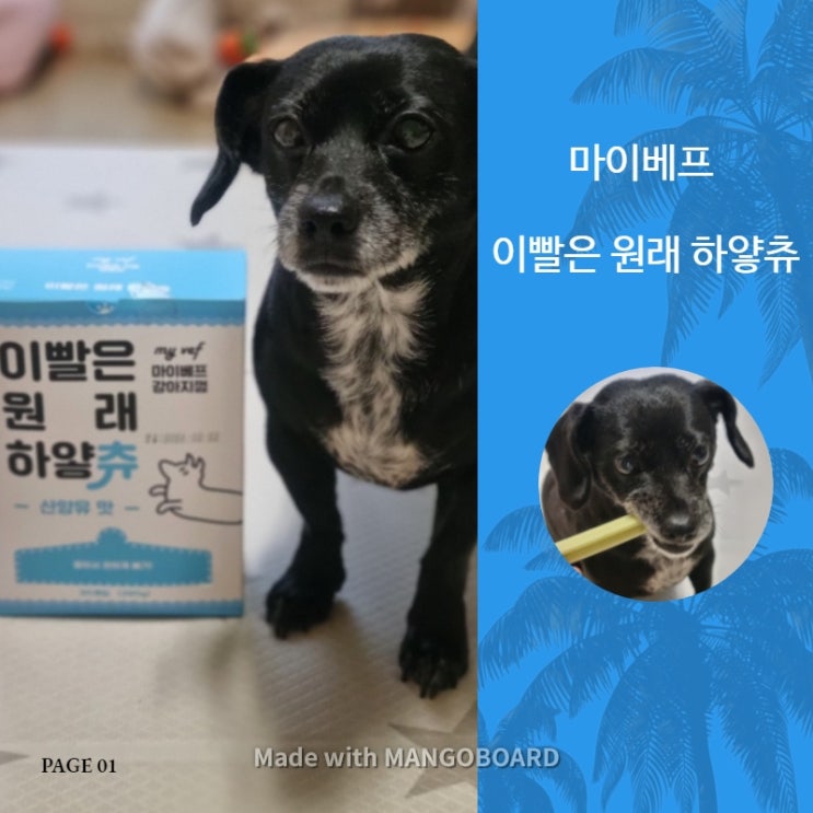 강아지간식. 마이베프 이빨은원래하얗츄. 기호성 좋은 강아지껌 강아지간식. 마이베프 이빨은원래하얗츄. 기호성 좋은 강아지껌