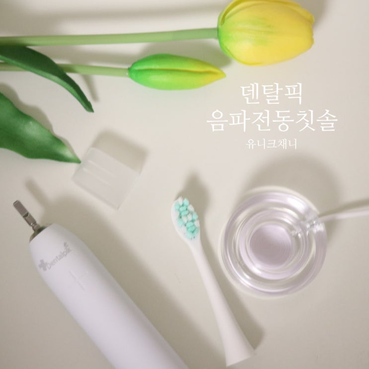  덴탈픽 음파전동칫솔 DP-9001 솔직 후기