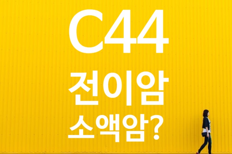  피부암 C44 악성흑생종 뇌전이암 C79 일반암 진단비 보상여부?