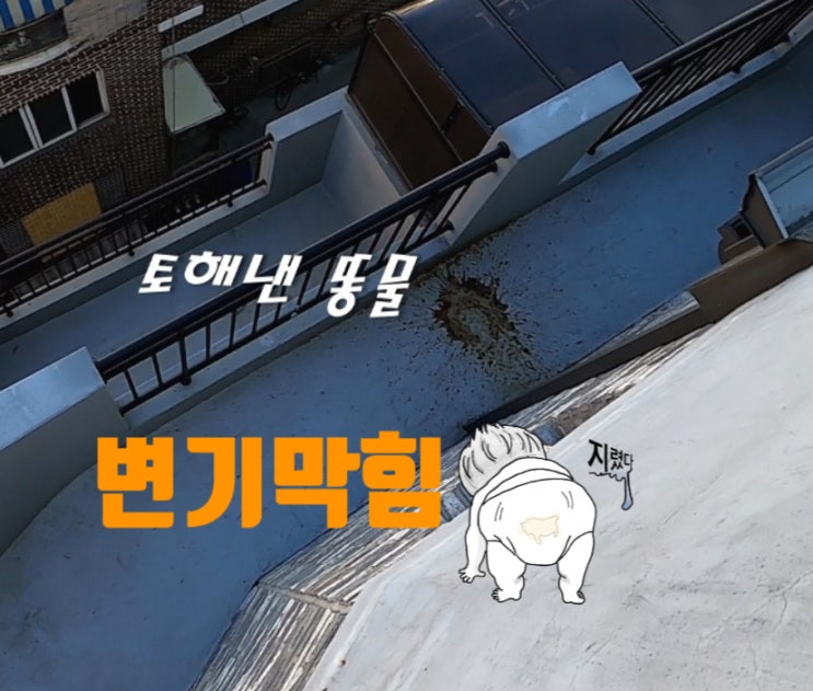  추석 변기역류처리 출장 작업 후기. 하늘에서 변(便)이 떨어진다?
