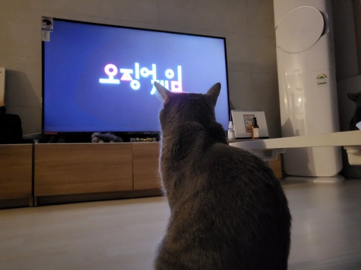  [일상] 티비 보는 아리 일상, 중독성 있는 드라마