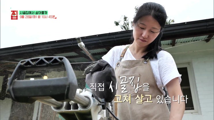 충남 예산 백년된 구옥 2,500만원 셀프 리모델링 시골집 전남 보성 400년 터에 지은 한옥 시골집에서 살아볼까 건축 탐구 집