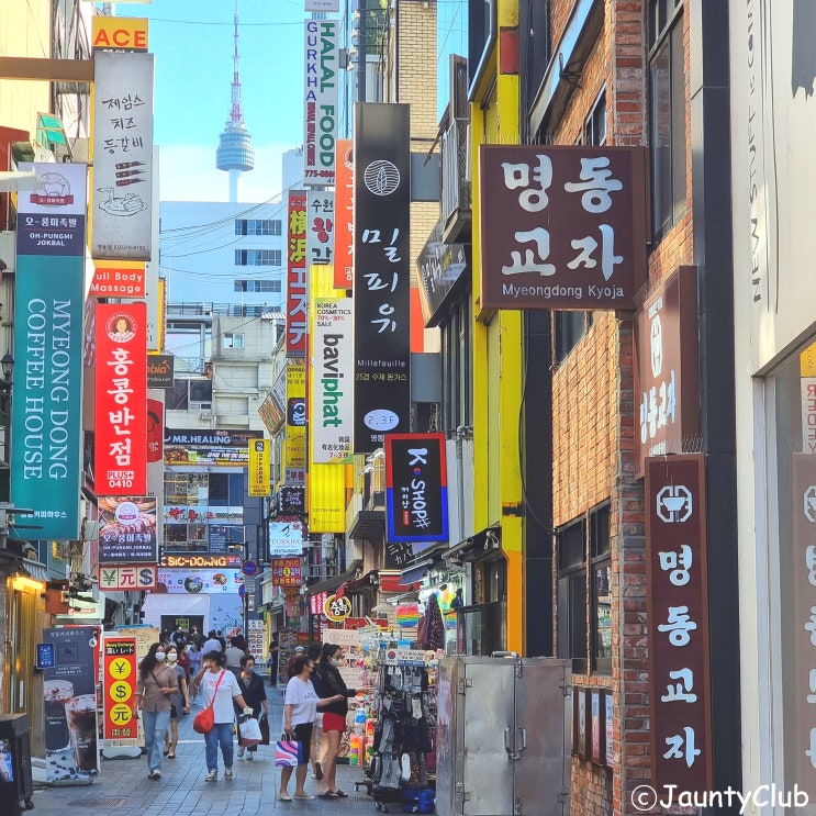  명동교자 미슐랭 가이드 명동 칼국수 맛집, 국물부터 감동