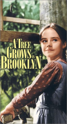  브룩클린의 나무 성장 A Tree Grows In Brooklyn , 1945 시나리오
