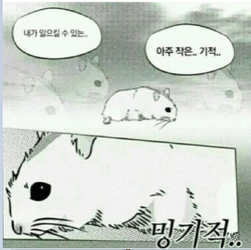  [100문 100답]_심심해서 해봄_210928