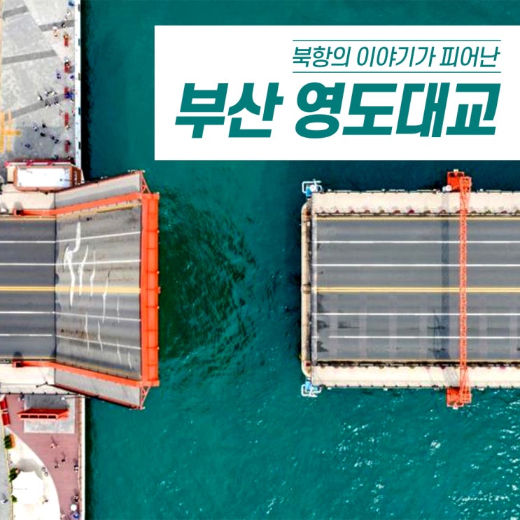  [2030부산세계박람회] 개최지 북항 이야기: 영도대교