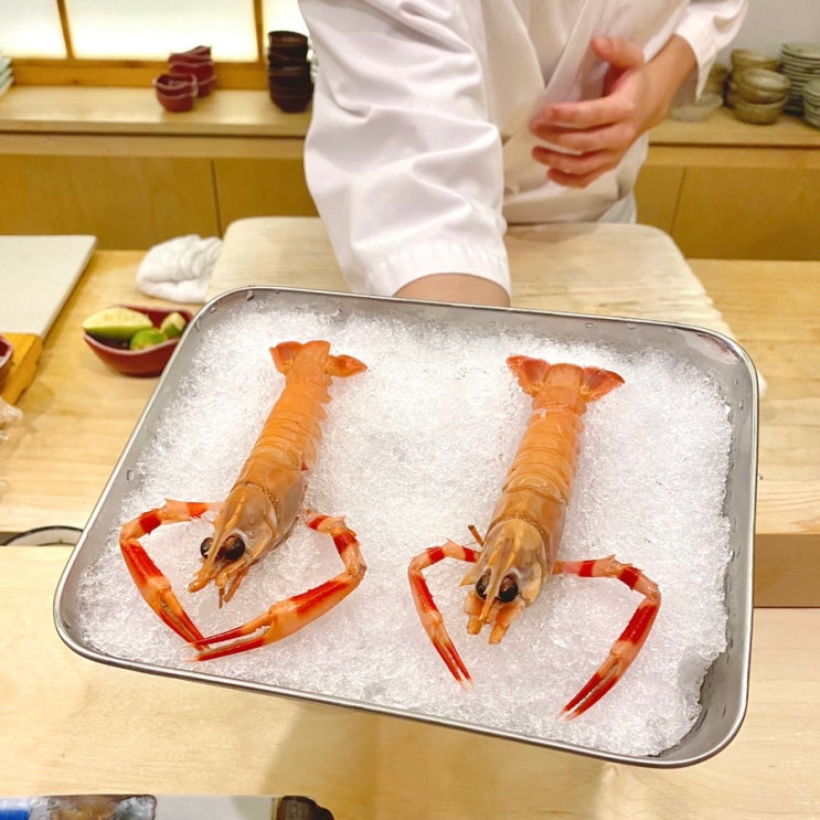  [강남역/서초] 미들급 스시 오마카세 스시려 프리미엄 런치