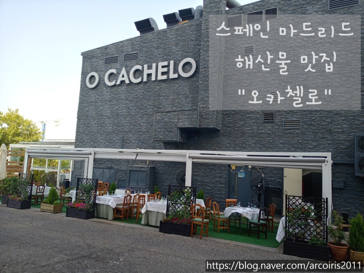  마드리드 분위기 있는 해산물 식당_오카첼로(O'Cachelo)