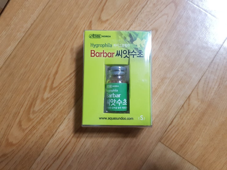 씨앗수초 키우기 하이그로필라 Barbar  - 발아에서 4달 후 - 전경으로 키우지 마세요.