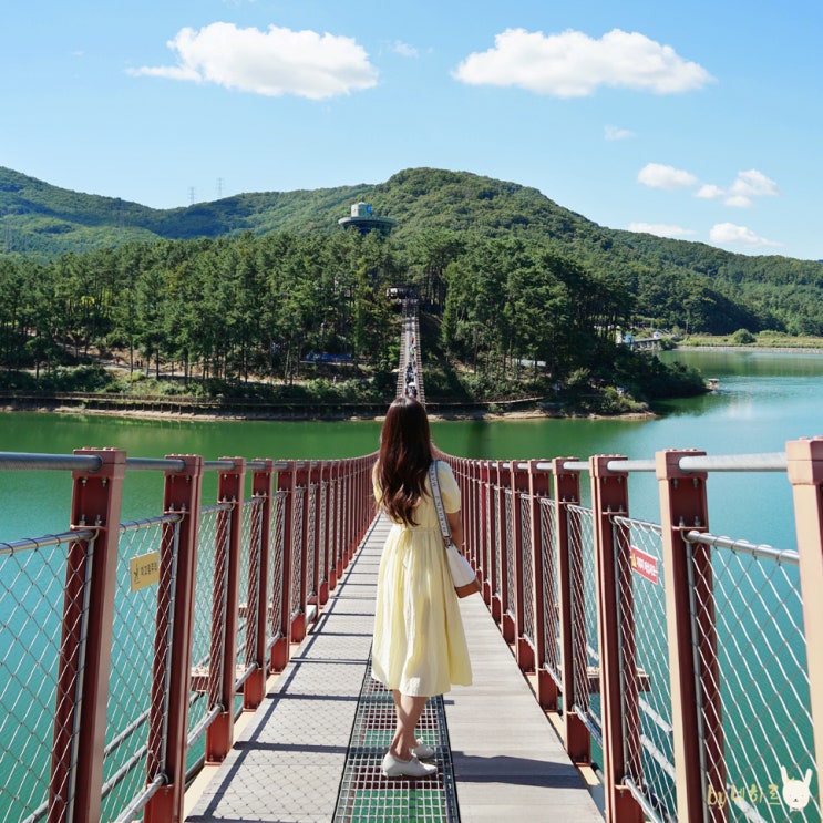 마장호수 출렁다리 파주 드라이브코스 마장호수 출렁다리 파주 드라이브코스
