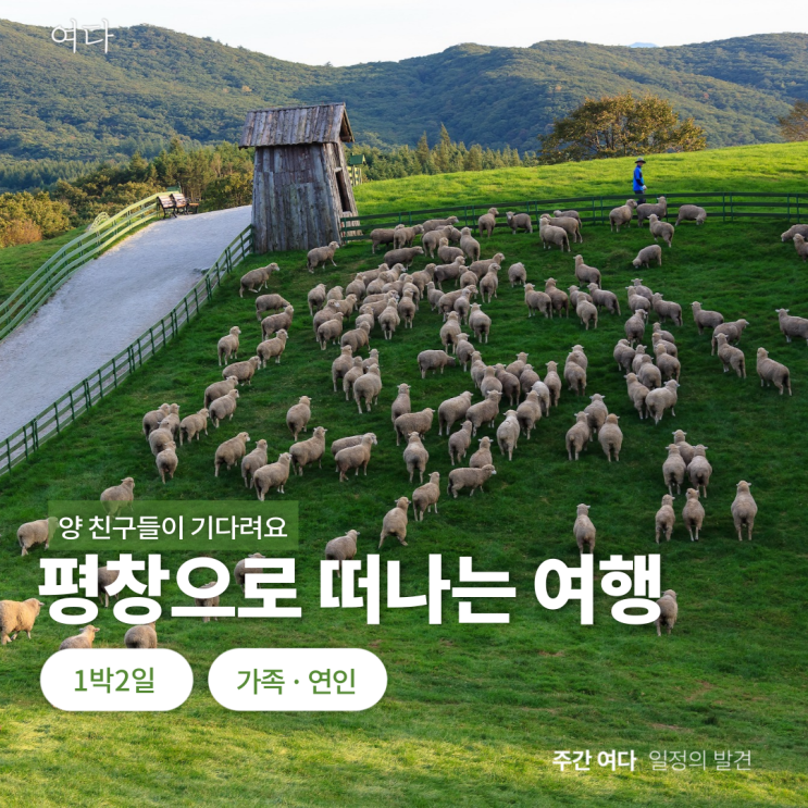  [평창여행] 강원도 평창으로 떠나는 여행