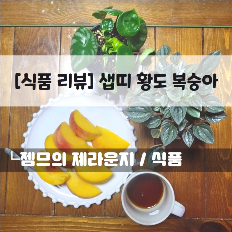  <샙띠복숭아> 달큰한 향이 풍기는 산지직송 황도복숭아