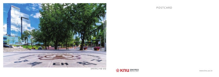  신설 2022대입 경북대 약학과(약대) 진학 관련 사항 총정리