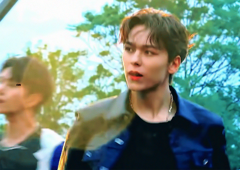 버논 최한솔 TMI (SVT VERNON TMI)