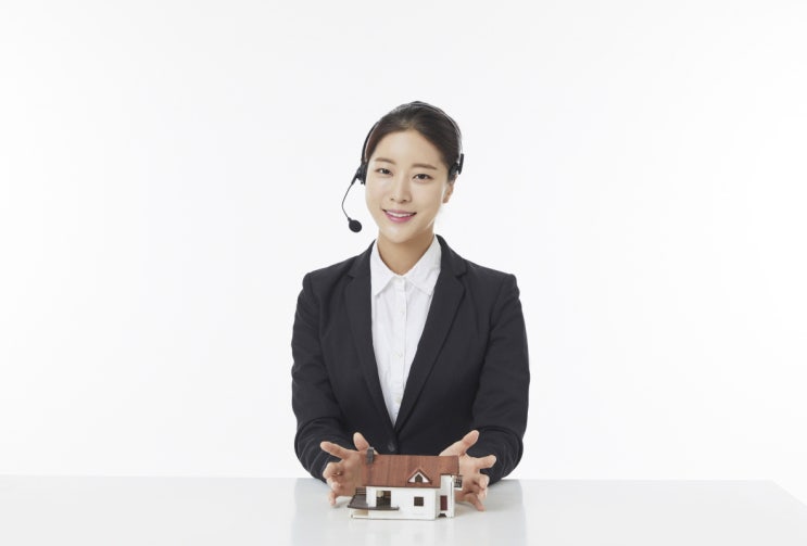  종부세 완화와 공공 주택에 대한 정부의 입장은?