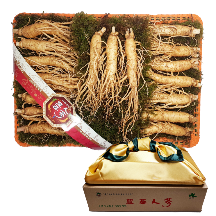 후기가 좋은 대한인삼사 인삼선물세트 풍기인삼 750g, 풍기인삼 16~20뿌리 750g ··· 후기가 좋은 대한인삼사 인삼선물세트 풍기인삼 750g, 풍기인삼 16~20뿌리 750g ···