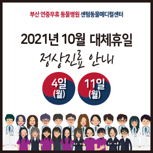  [정상진료] 2021년 10월 4일(월) 11일(월) 대체공휴일도 활짝! (부산 수영역 동물병원, 센텀동물메디컬센터)