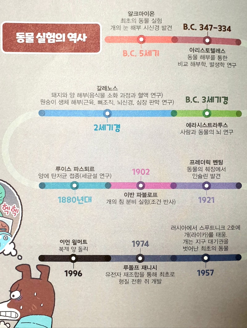 찬반토론] 동물 실험 : 네이버 블로그