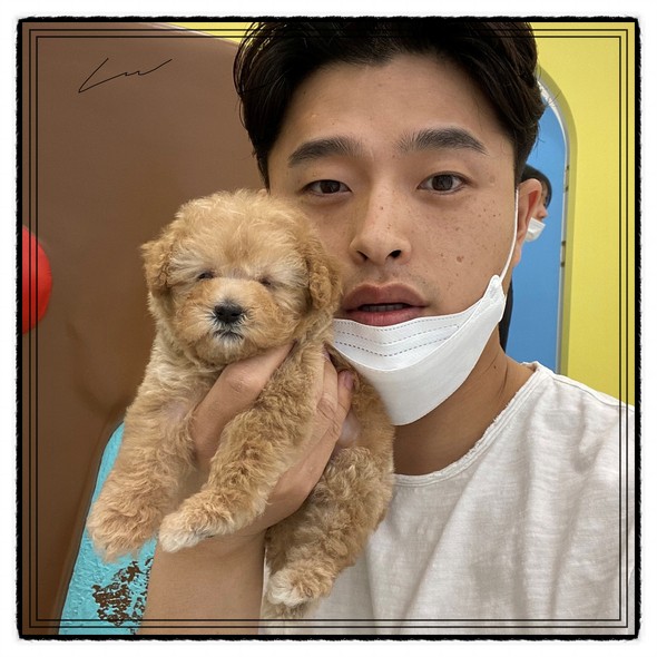  양산강아지분양 꼭 예약을 먼저 해주셔야해요