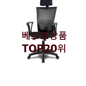  가성비혜자 메쉬의자 꿀템 가성비 목록