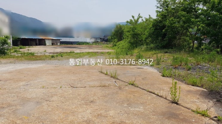 함안 칠원읍 구성리 토지, 창고부지, 물류창고, 마트부지, 야적장, 식품공장부지 땅 매매