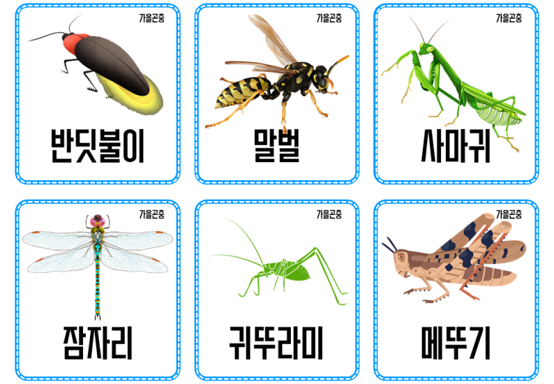 가을에 볼 수 있는 곤충 : 네이버 블로그