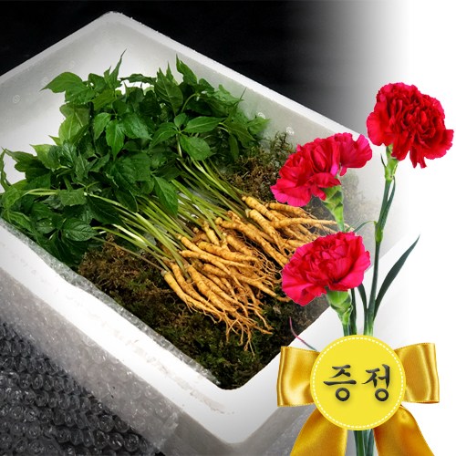 선호도 좋은 삼록초농원 새싹삼 새싹인삼, 1box, 대 35뿌리 추천해요 선호도 좋은 삼록초농원 새싹삼 새싹인삼, 1box, 대 35뿌리 추천해요